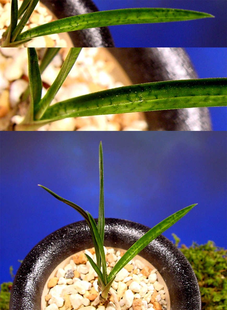 ������ ū������ �� �� �ֽ��ϴ�.