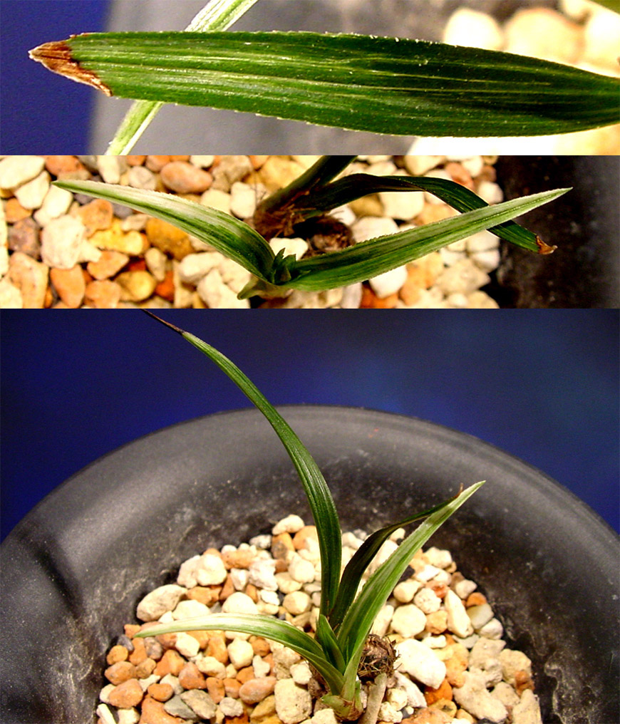 ������ ū������ �� �� �ֽ��ϴ�.