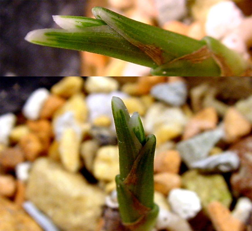 ������ ū������ �� �� �ֽ��ϴ�.