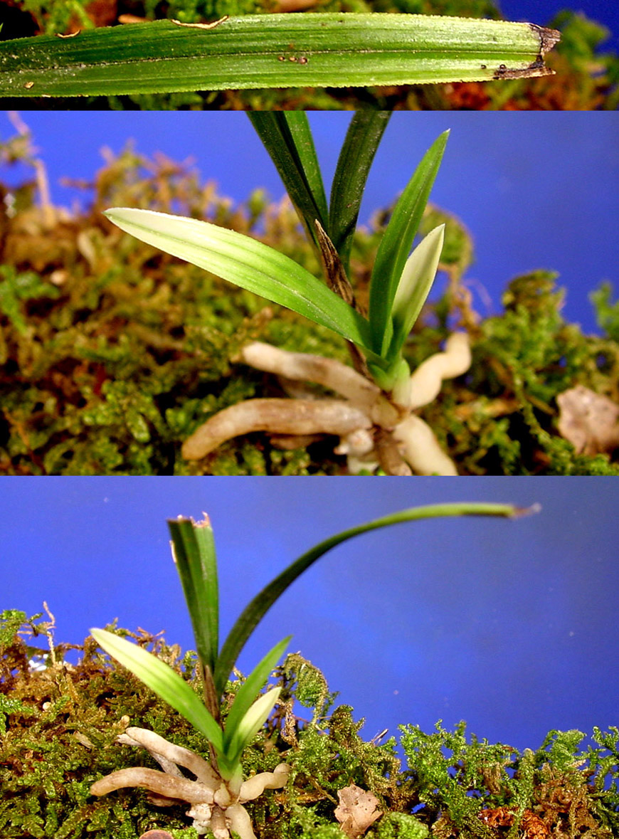 ������ ū������ �� �� �ֽ��ϴ�.