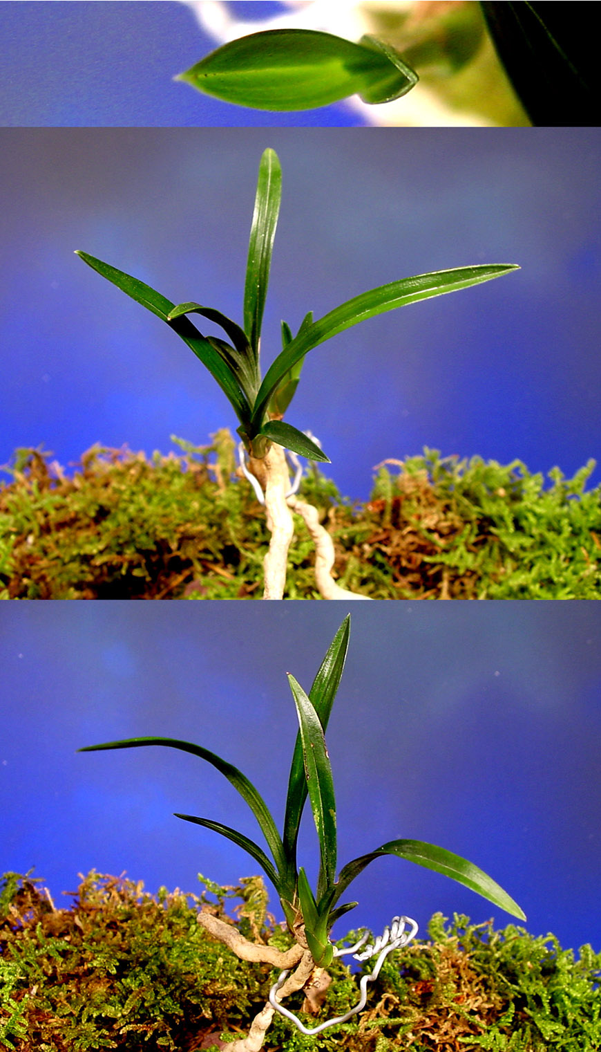 ������ ū������ �� �� �ֽ��ϴ�.