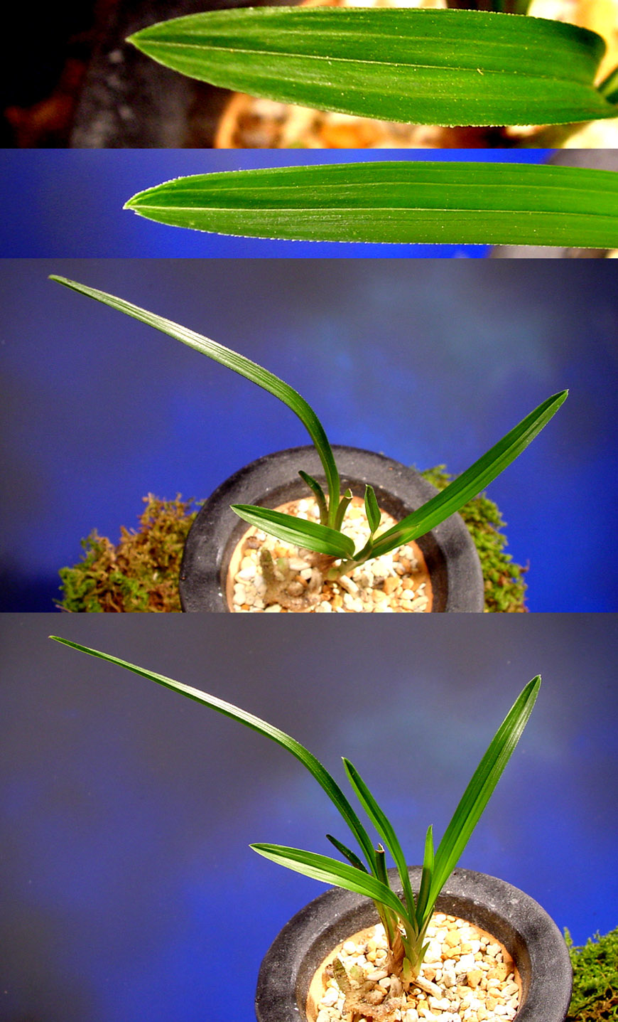 ������ ū������ �� �� �ֽ��ϴ�.