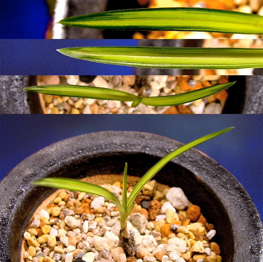 ������ ū������ �� �� �ֽ��ϴ�.