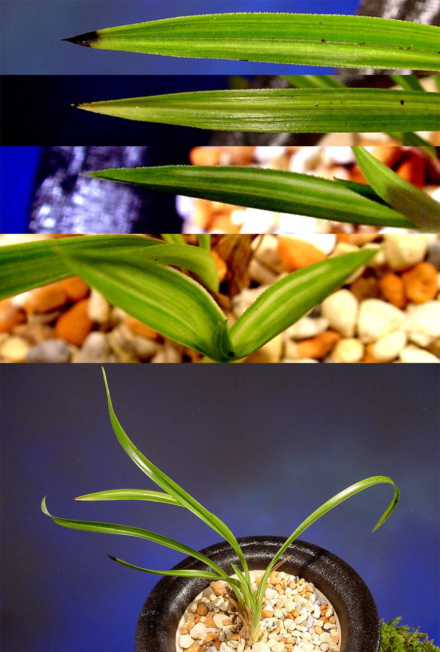 ������ ū������ �� �� �ֽ��ϴ�.