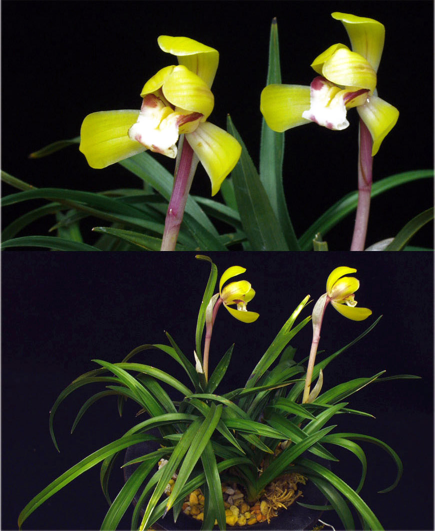 ������ ū������ �� �� �ֽ��ϴ�.