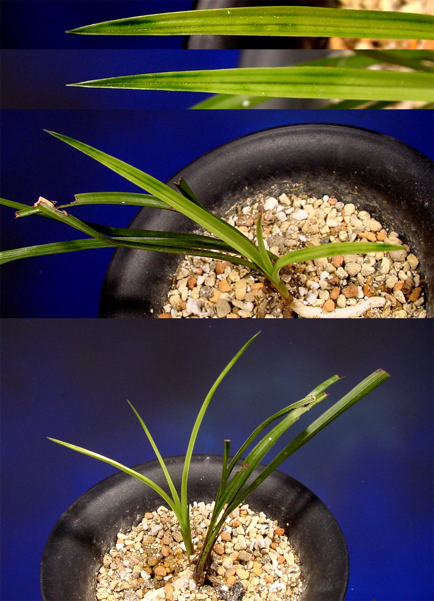 ������ ū������ �� �� �ֽ��ϴ�.