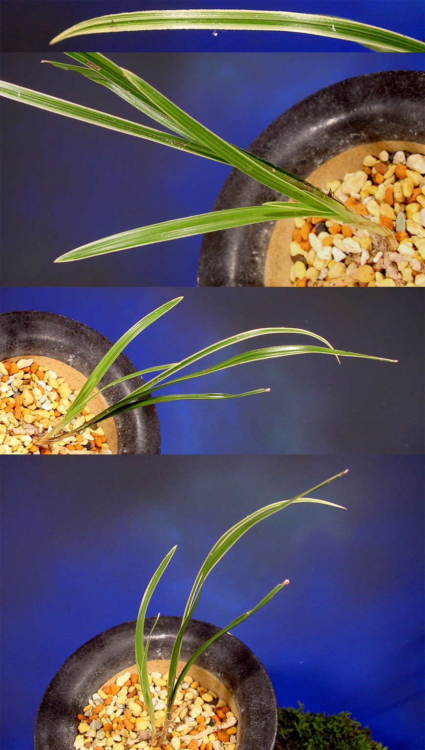 ������ ū������ �� �� �ֽ��ϴ�.