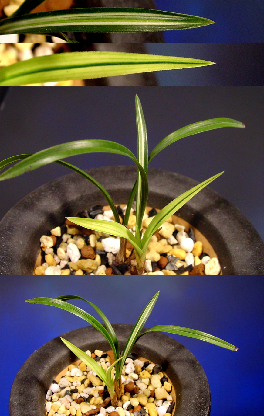 ������ ū������ �� �� �ֽ��ϴ�.