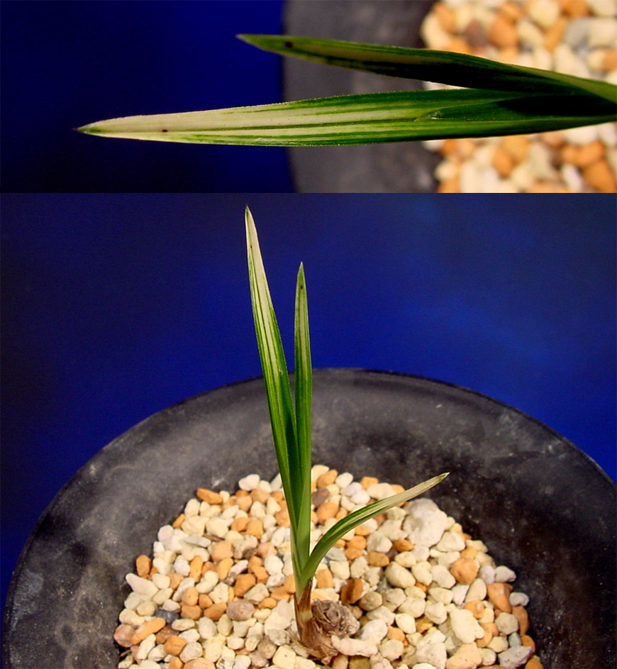 ������ ū������ �� �� �ֽ��ϴ�.