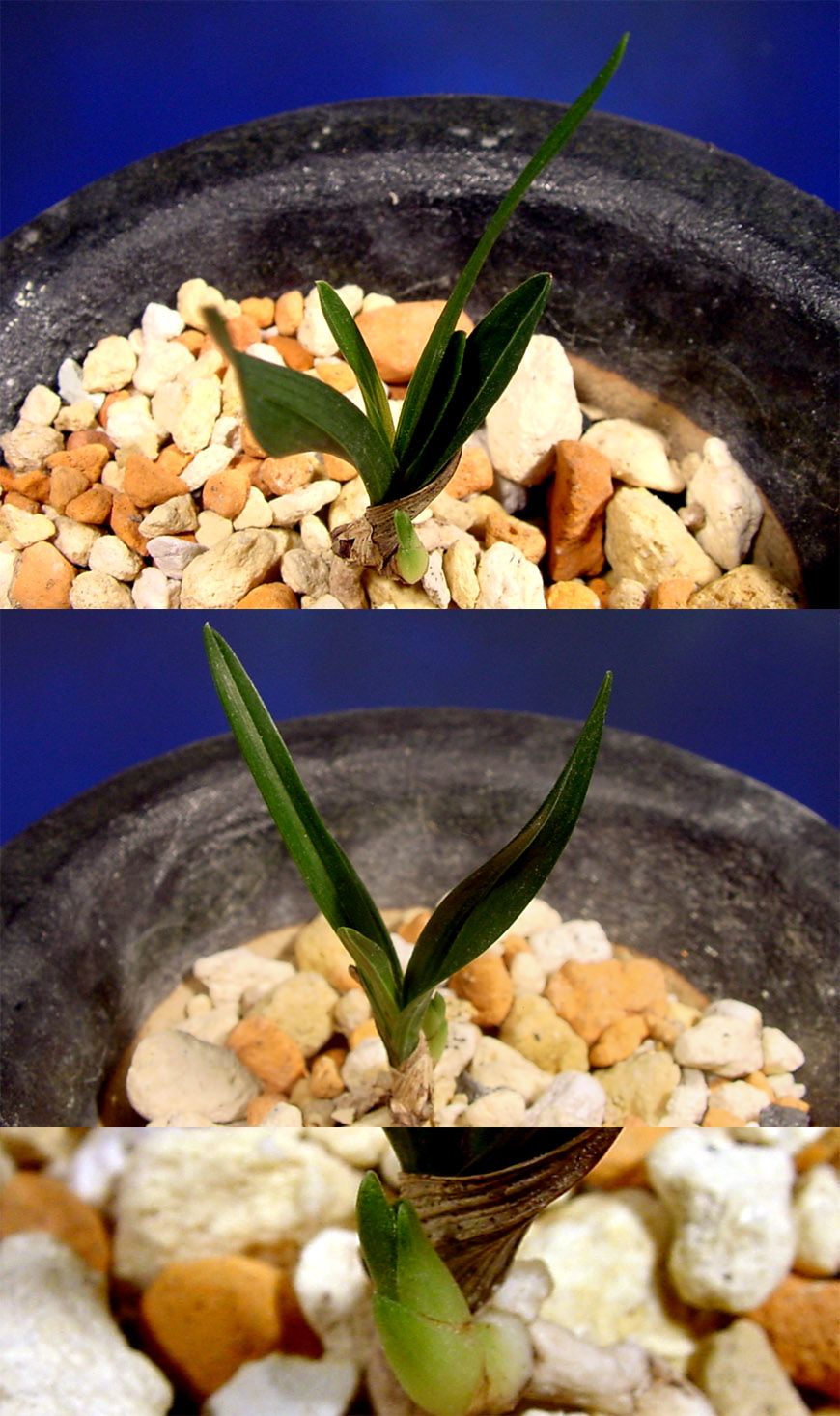 ������ ū������ �� �� �ֽ��ϴ�.