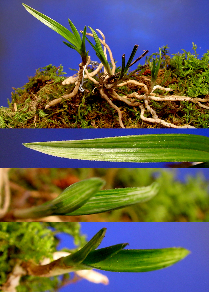 ������ ū������ �� �� �ֽ��ϴ�.