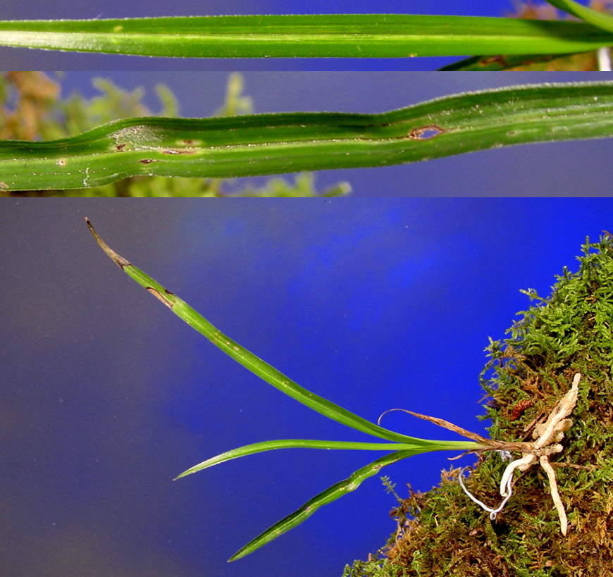 ������ ū������ �� �� �ֽ��ϴ�.