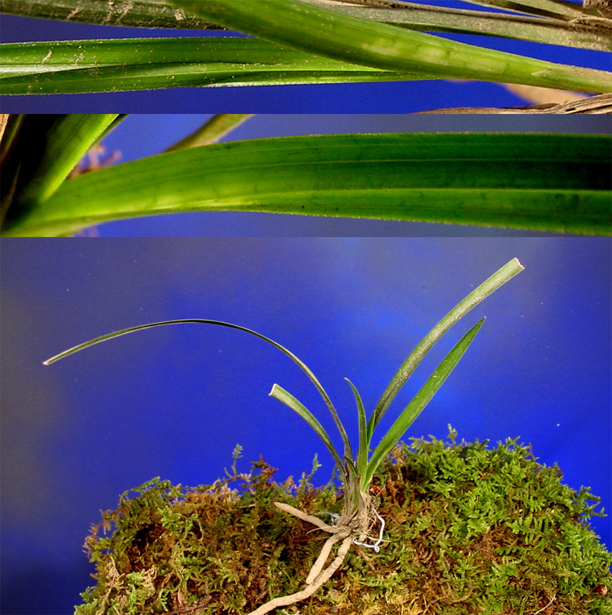 ������ ū������ �� �� �ֽ��ϴ�.