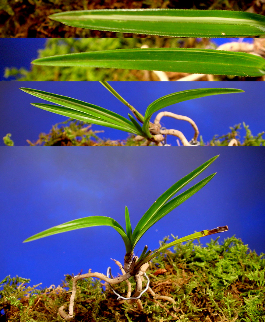 ������ ū������ �� �� �ֽ��ϴ�.