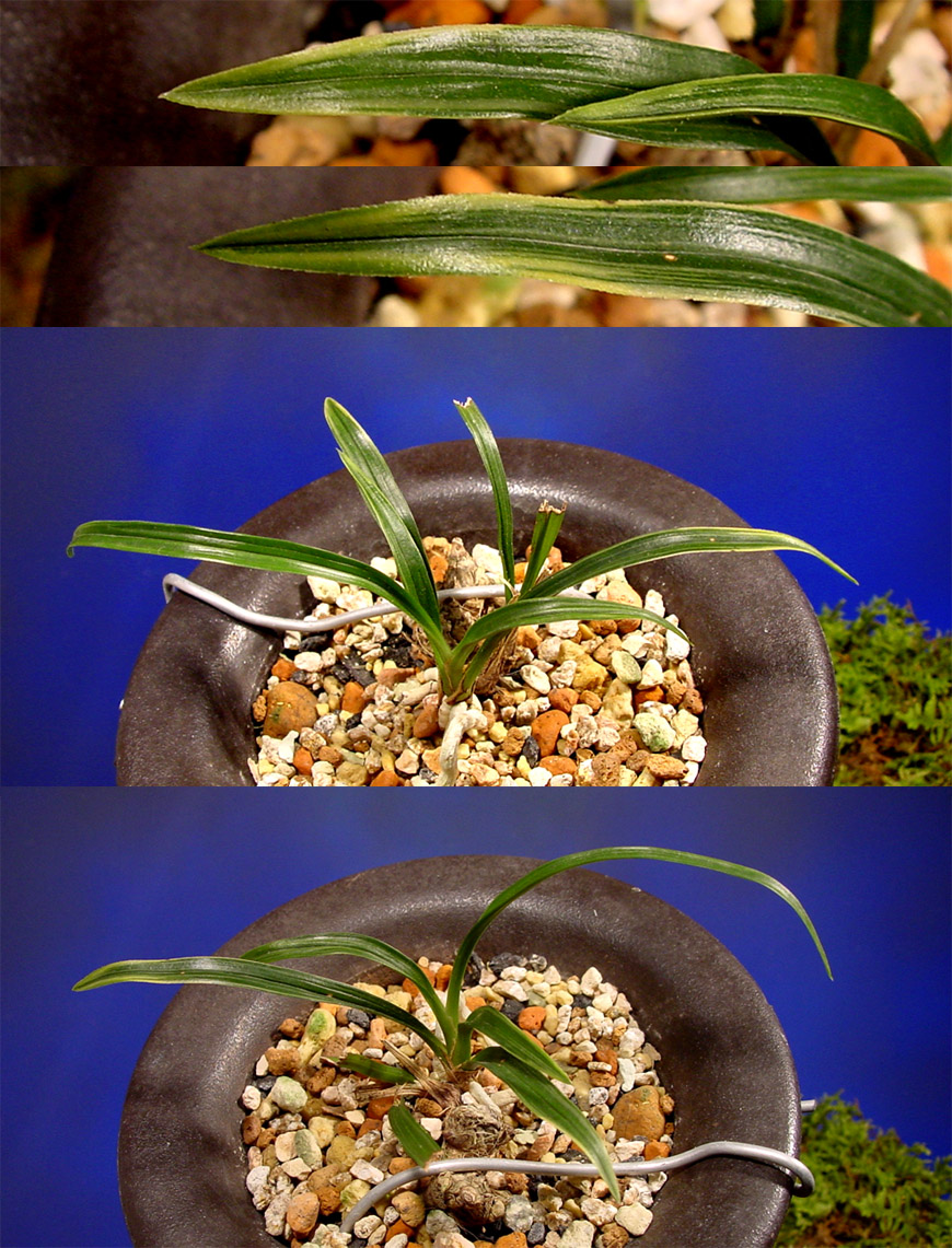 ������ ū������ �� �� �ֽ��ϴ�.