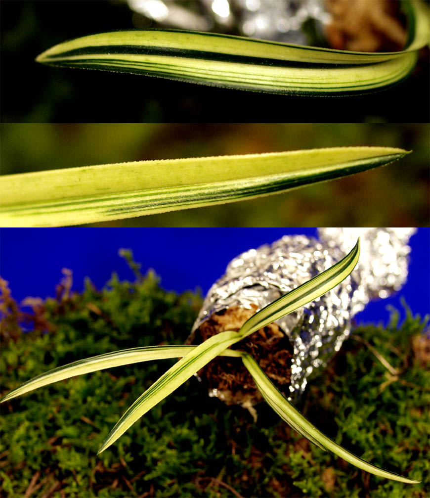 ������ ū������ �� �� �ֽ��ϴ�.