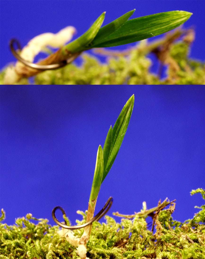 ������ ū������ �� �� �ֽ��ϴ�.