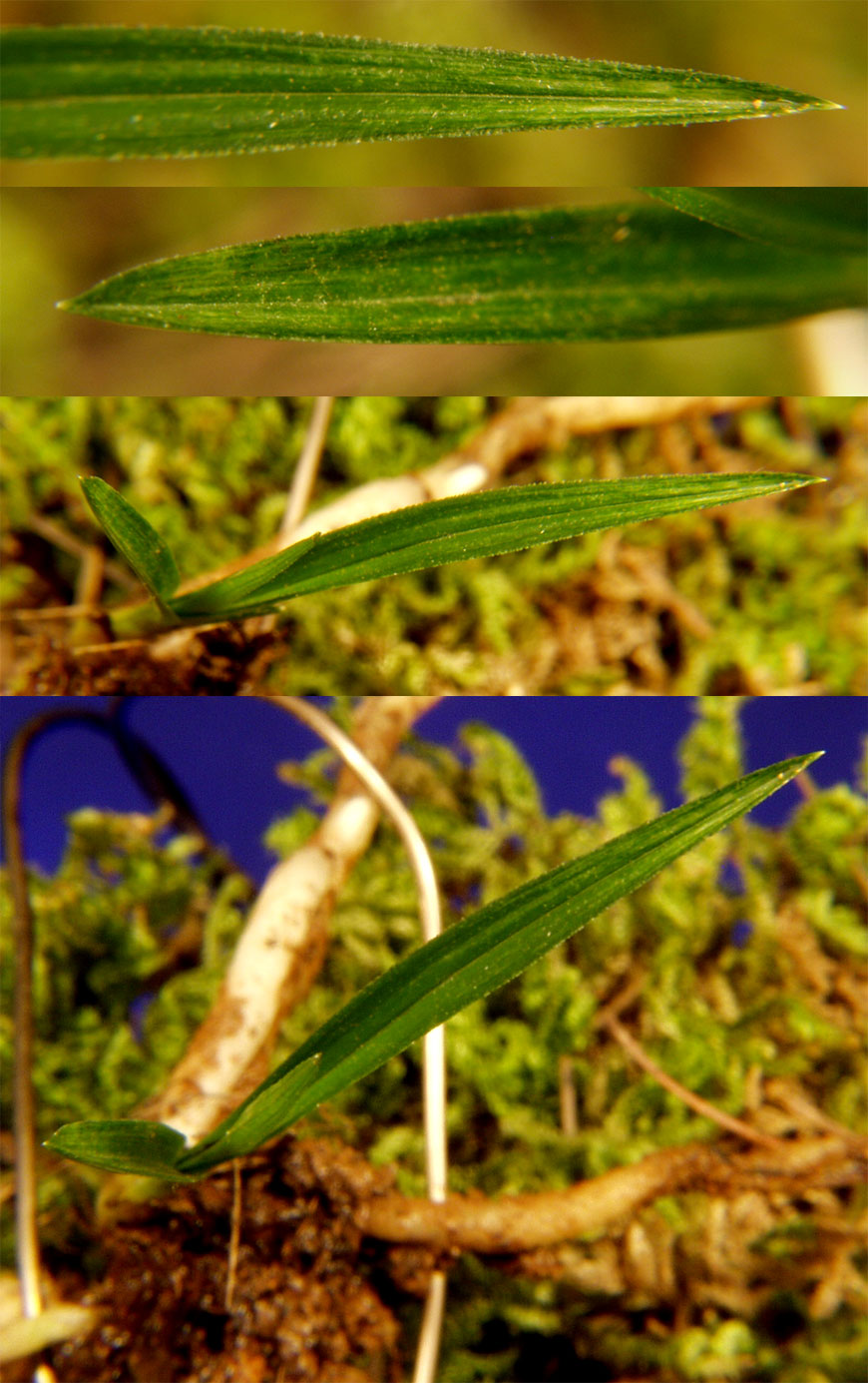 ������ ū������ �� �� �ֽ��ϴ�.