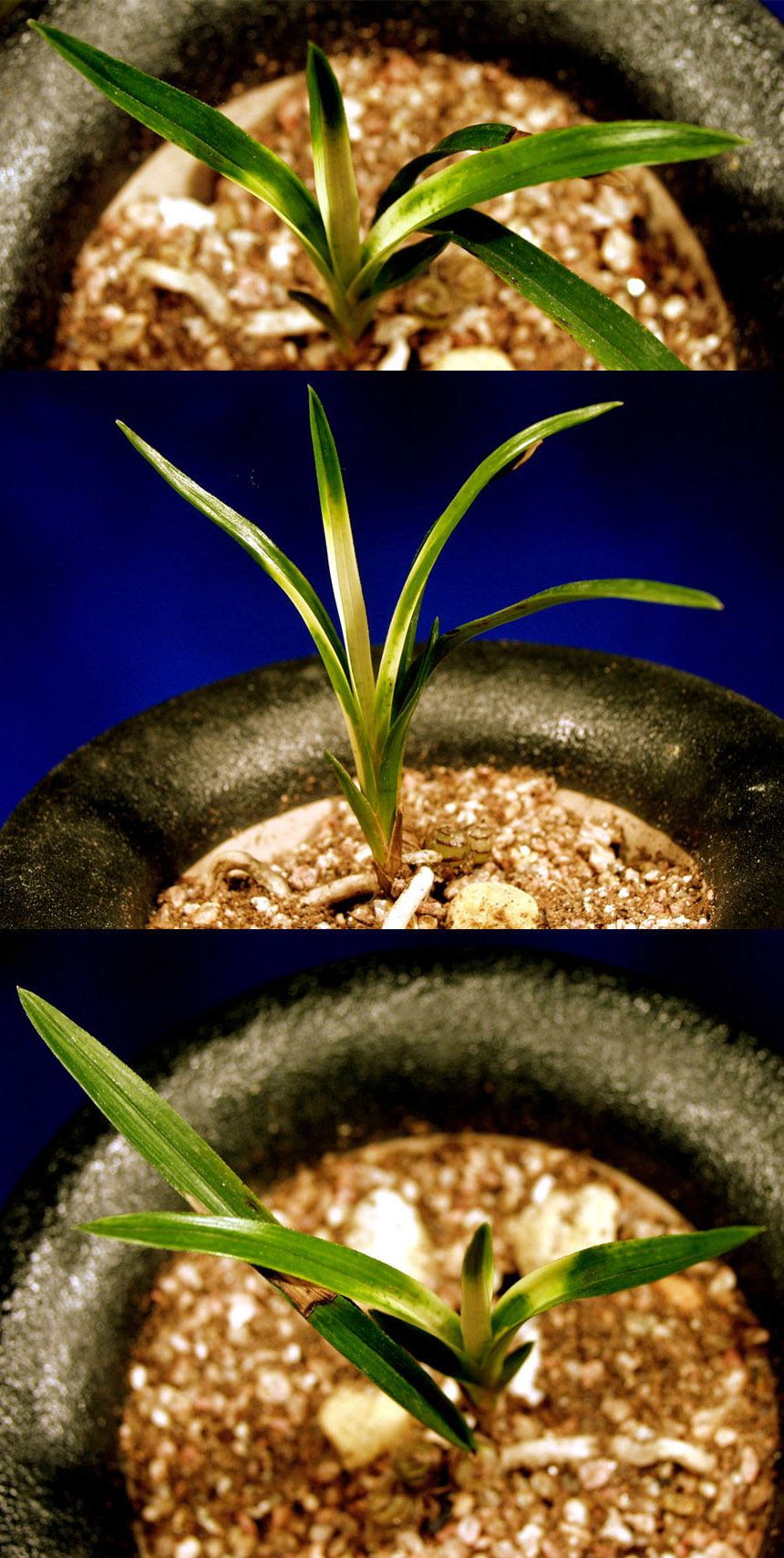 ������ ū������ �� �� �ֽ��ϴ�.