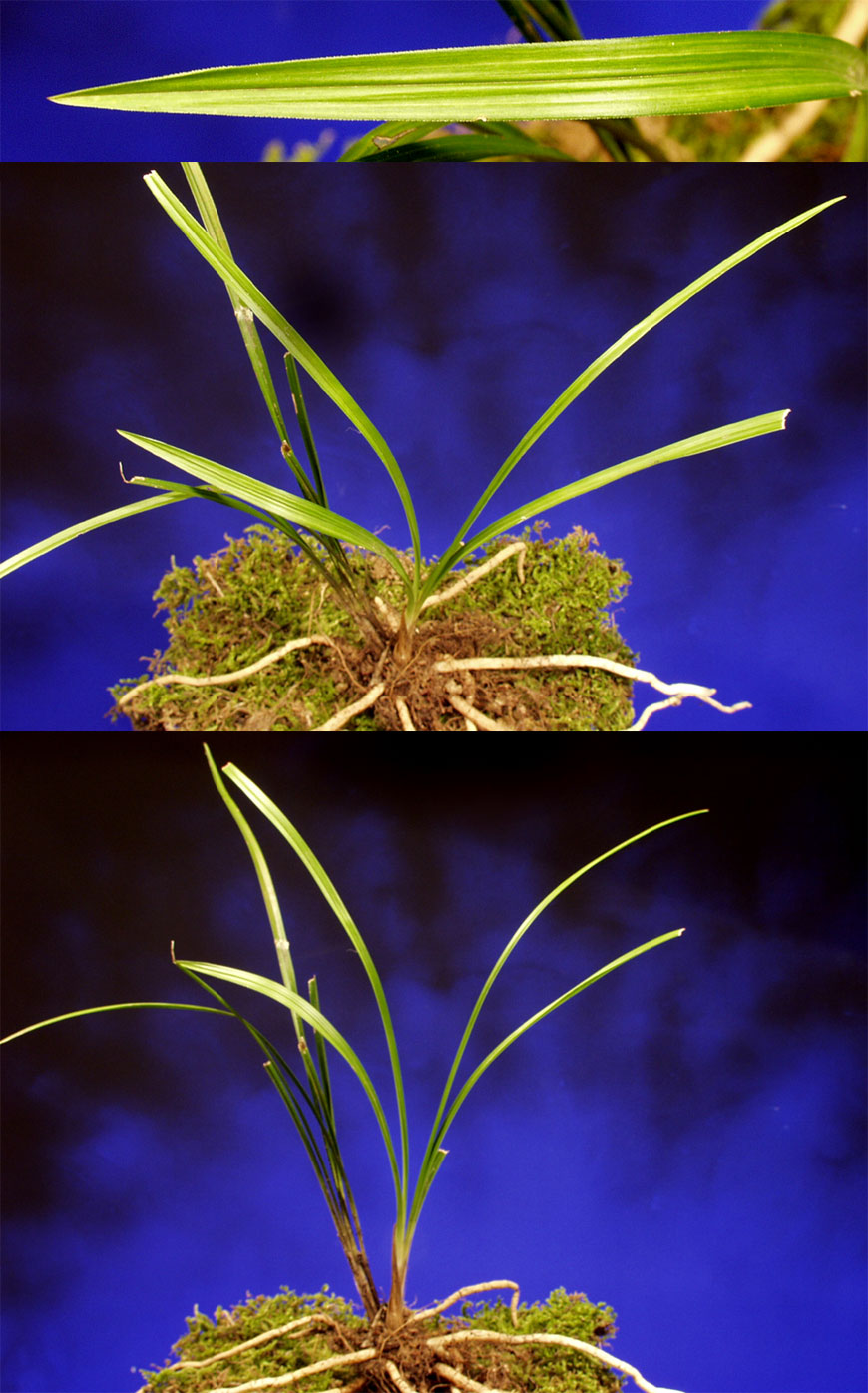 ������ ū������ �� �� �ֽ��ϴ�.