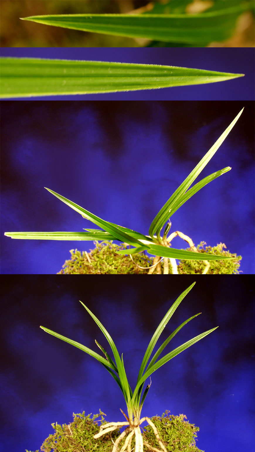 ������ ū������ �� �� �ֽ��ϴ�.