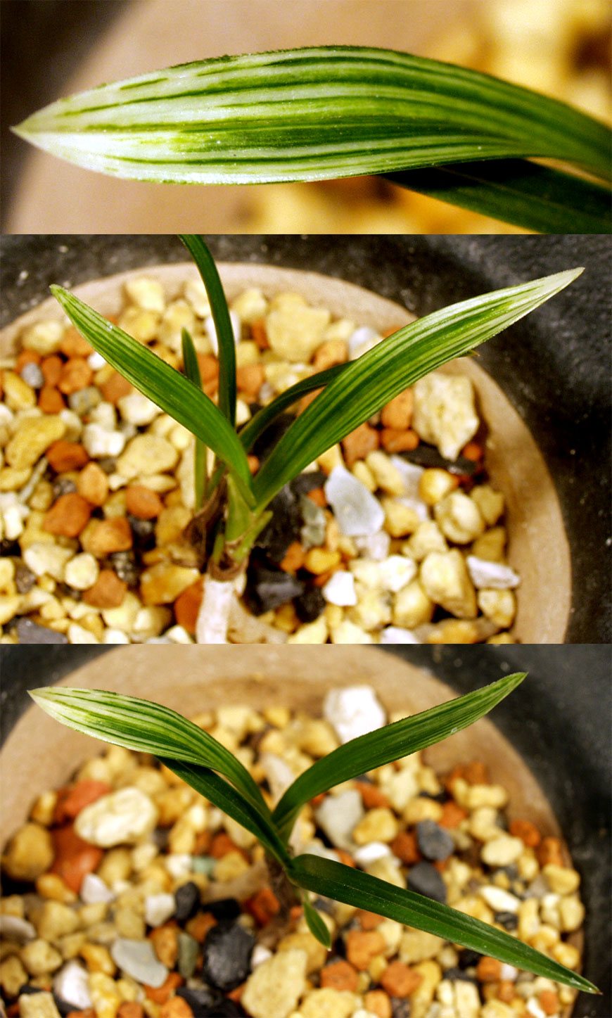 ������ ū������ �� �� �ֽ��ϴ�.