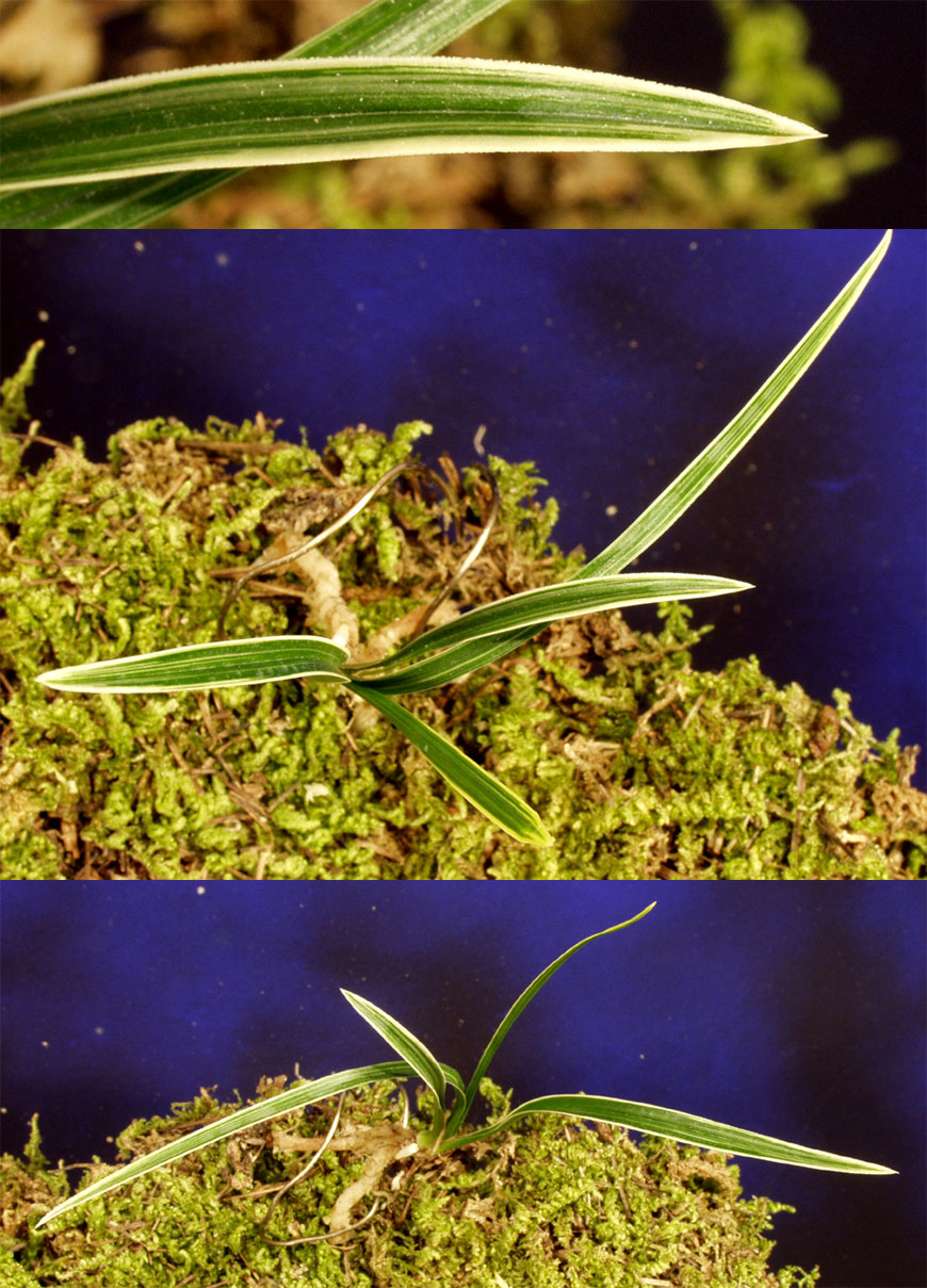 ������ ū������ �� �� �ֽ��ϴ�.