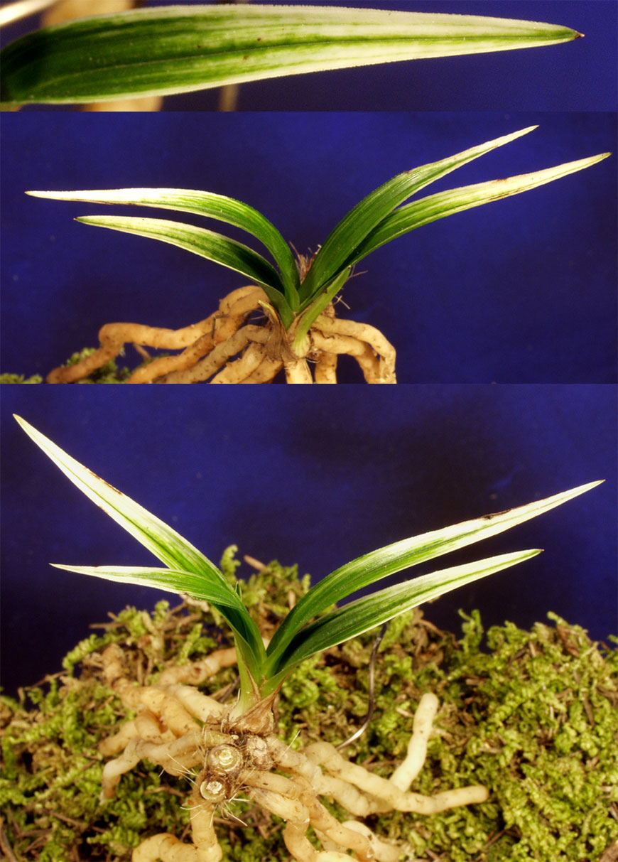 ������ ū������ �� �� �ֽ��ϴ�.