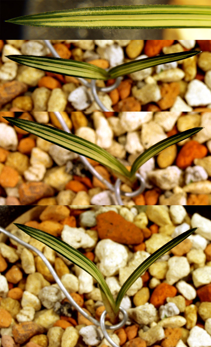 ������ ū������ �� �� �ֽ��ϴ�.