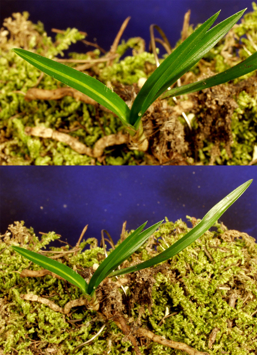 ������ ū������ �� �� �ֽ��ϴ�.