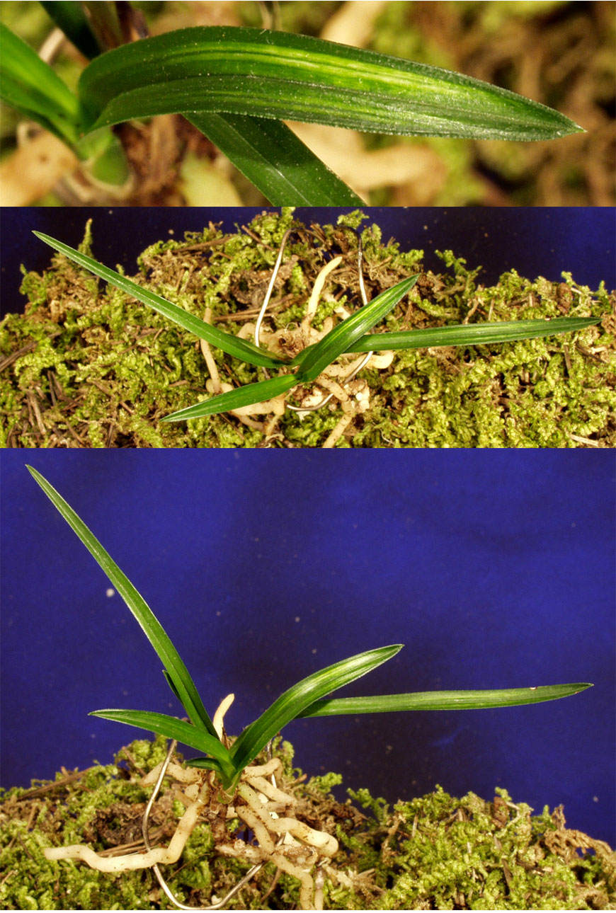 ������ ū������ �� �� �ֽ��ϴ�.