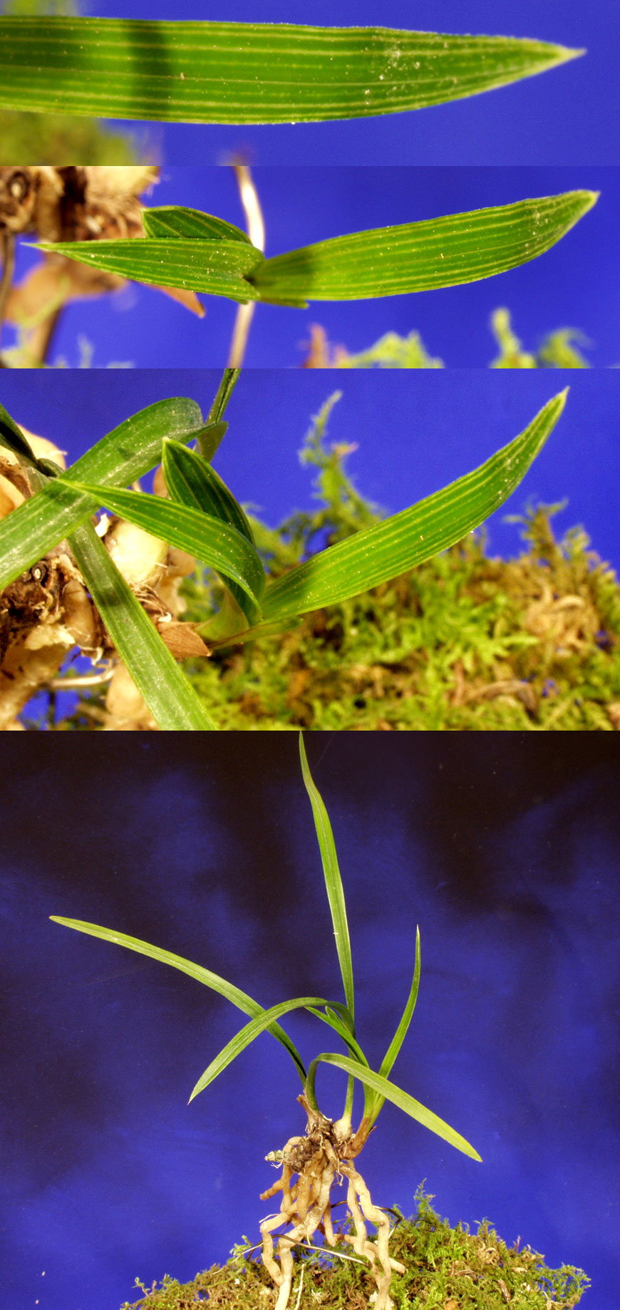 ������ ū������ �� �� �ֽ��ϴ�.