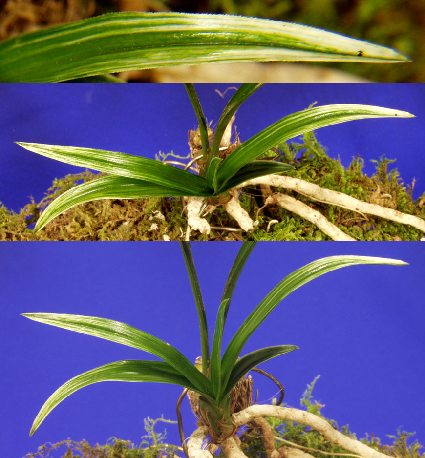 ������ ū������ �� �� �ֽ��ϴ�.