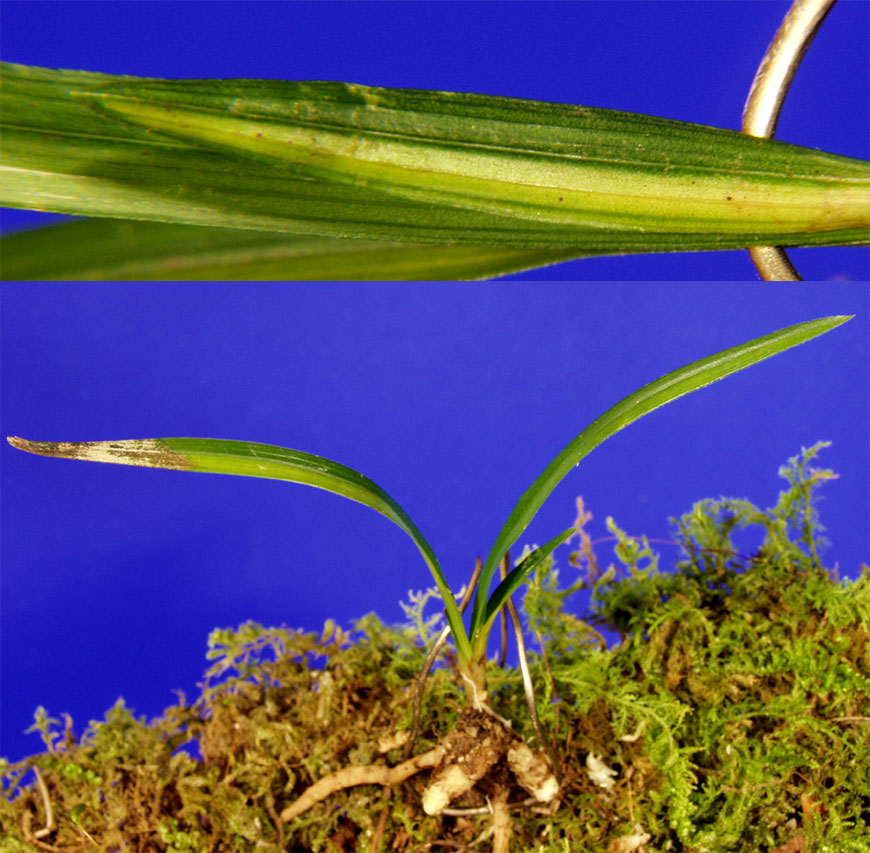 ������ ū������ �� �� �ֽ��ϴ�.