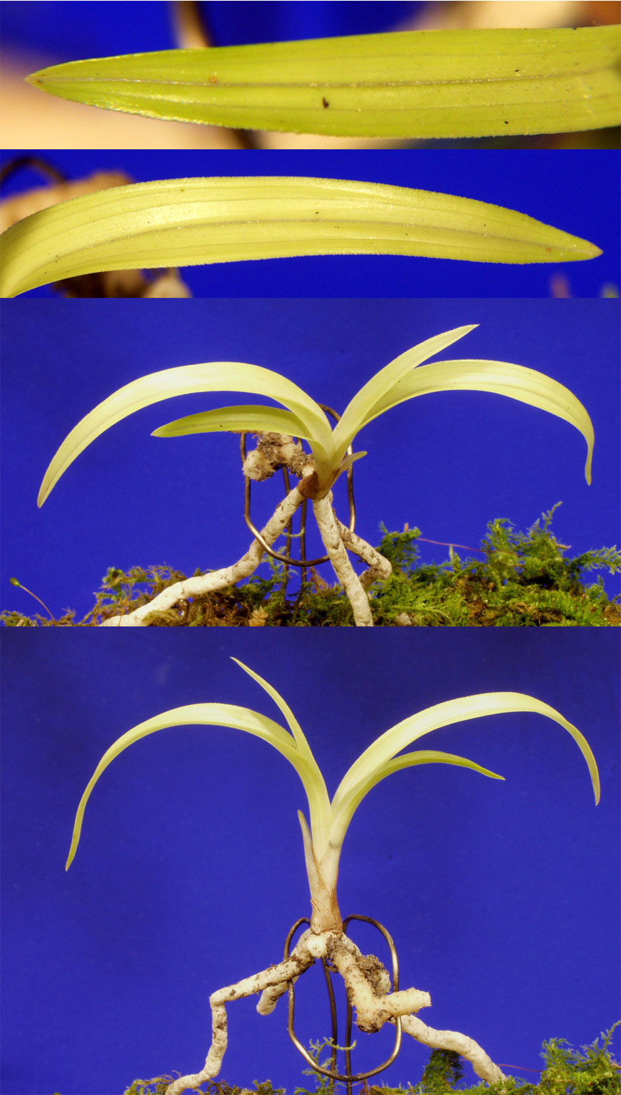 ������ ū������ �� �� �ֽ��ϴ�.