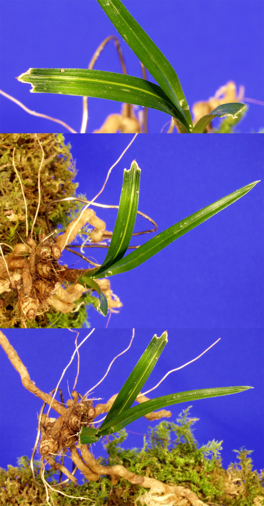 ������ ū������ �� �� �ֽ��ϴ�.