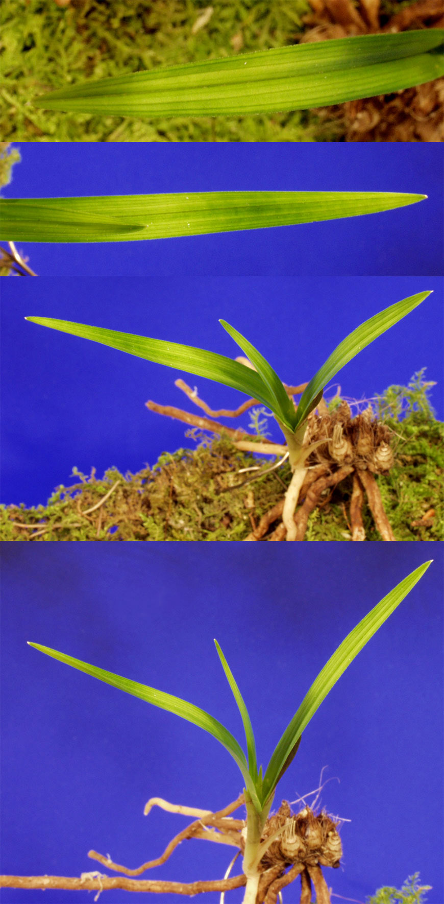 ������ ū������ �� �� �ֽ��ϴ�.