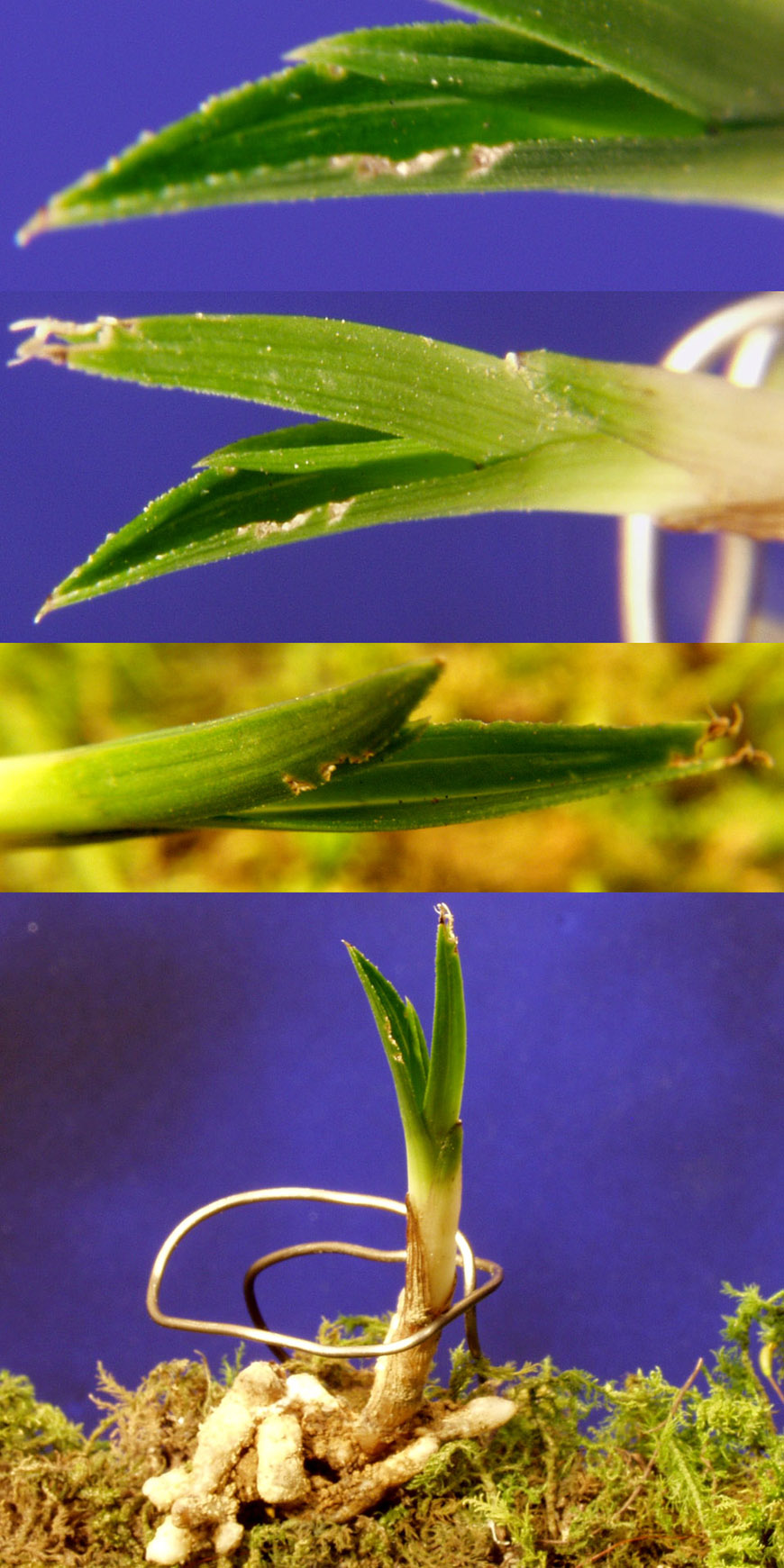 ������ ū������ �� �� �ֽ��ϴ�.