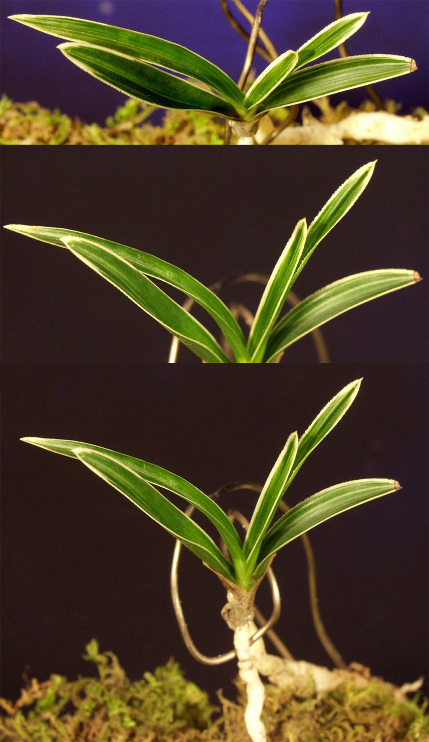 ������ ū������ �� �� �ֽ��ϴ�.