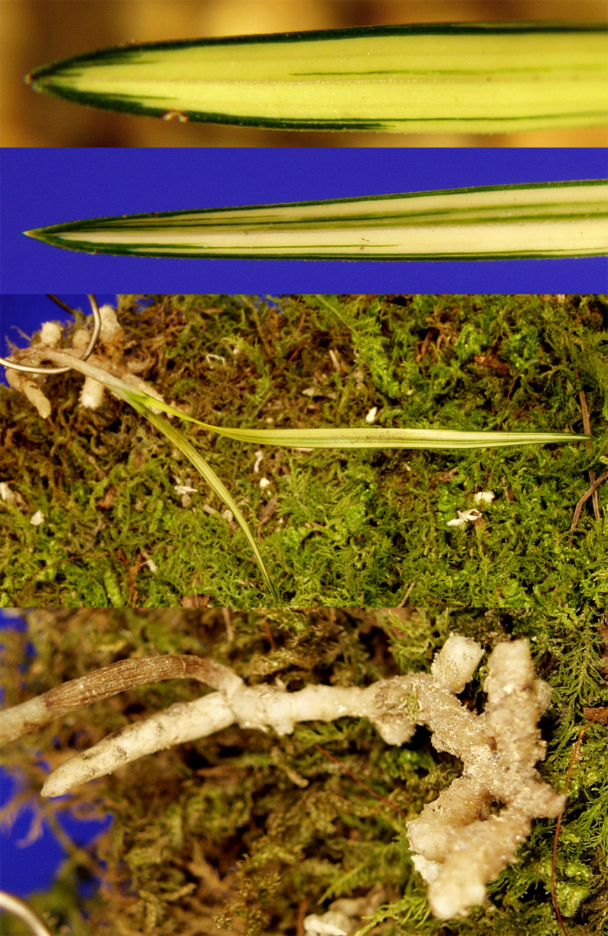 ������ ū������ �� �� �ֽ��ϴ�.