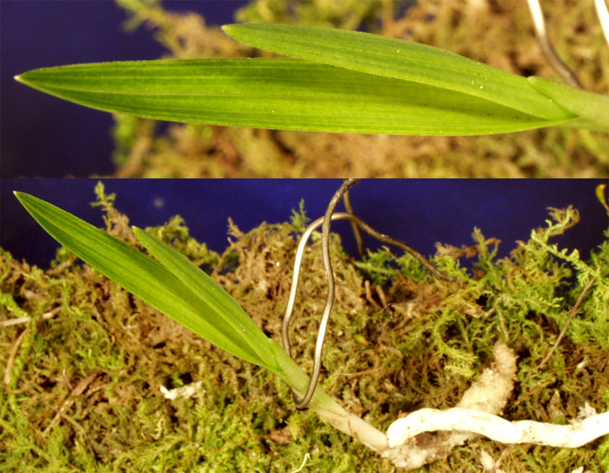 ������ ū������ �� �� �ֽ��ϴ�.