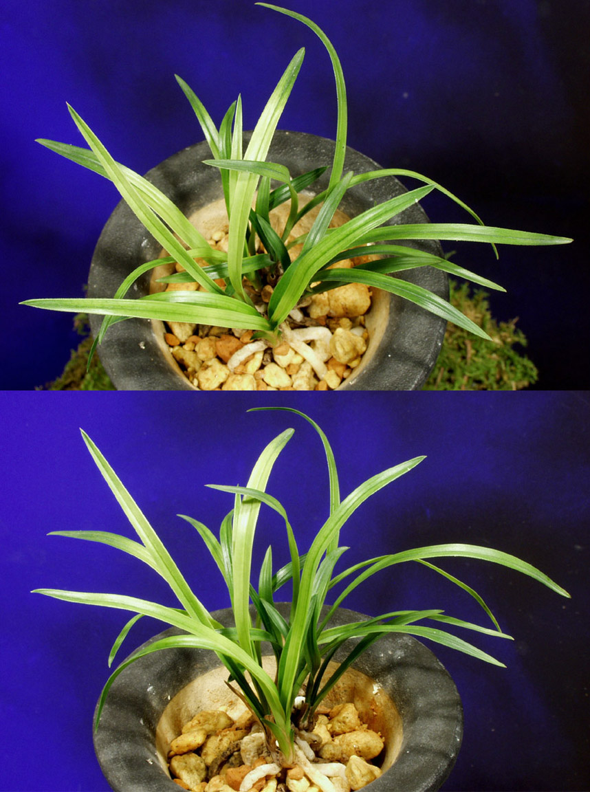 ������ ū������ �� �� �ֽ��ϴ�.