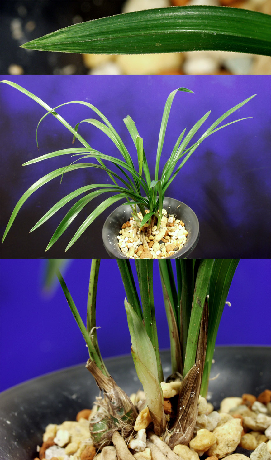 ������ ū������ �� �� �ֽ��ϴ�.