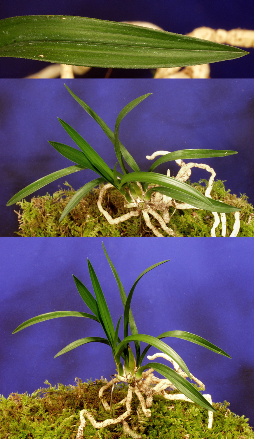 ������ ū������ �� �� �ֽ��ϴ�.