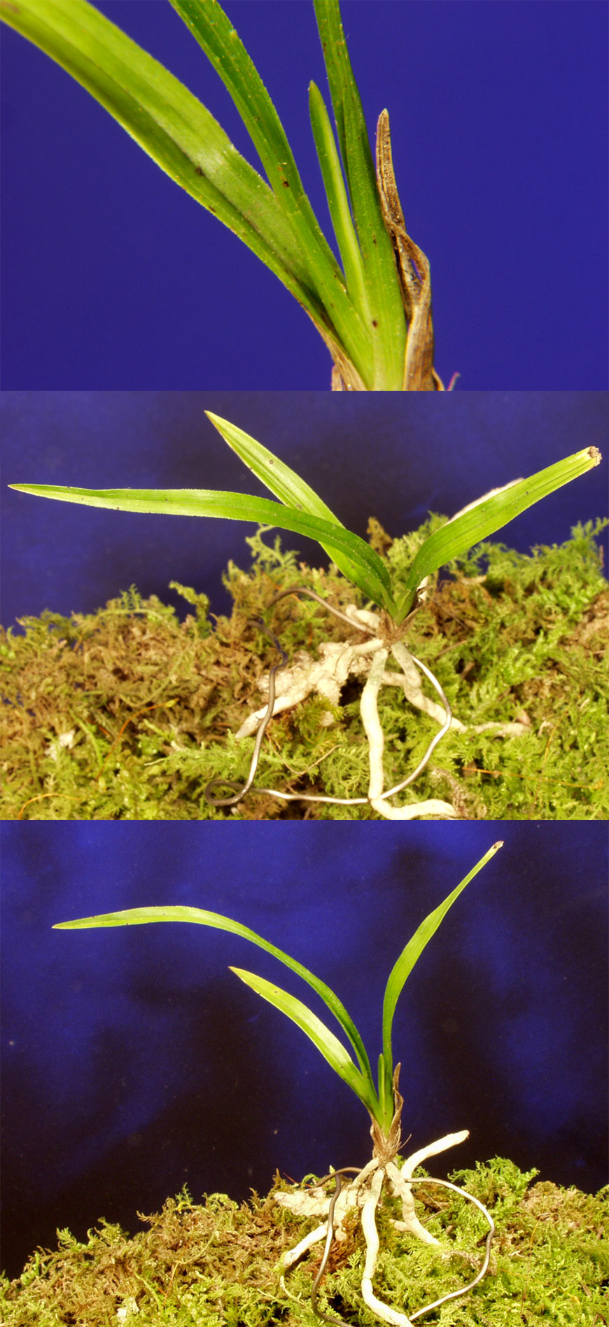 ������ ū������ �� �� �ֽ��ϴ�.