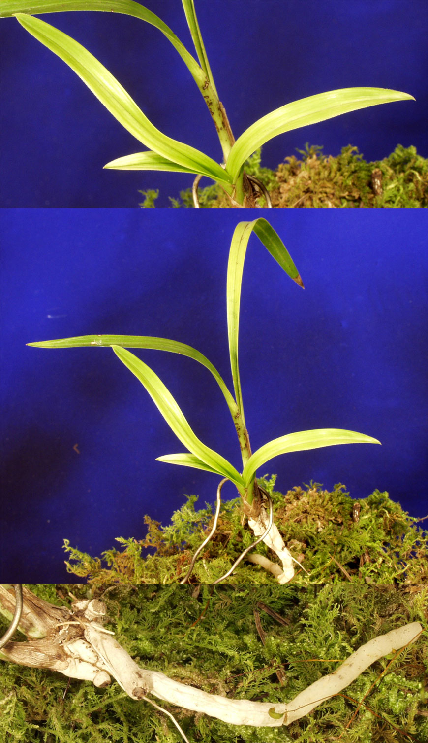 ������ ū������ �� �� �ֽ��ϴ�.