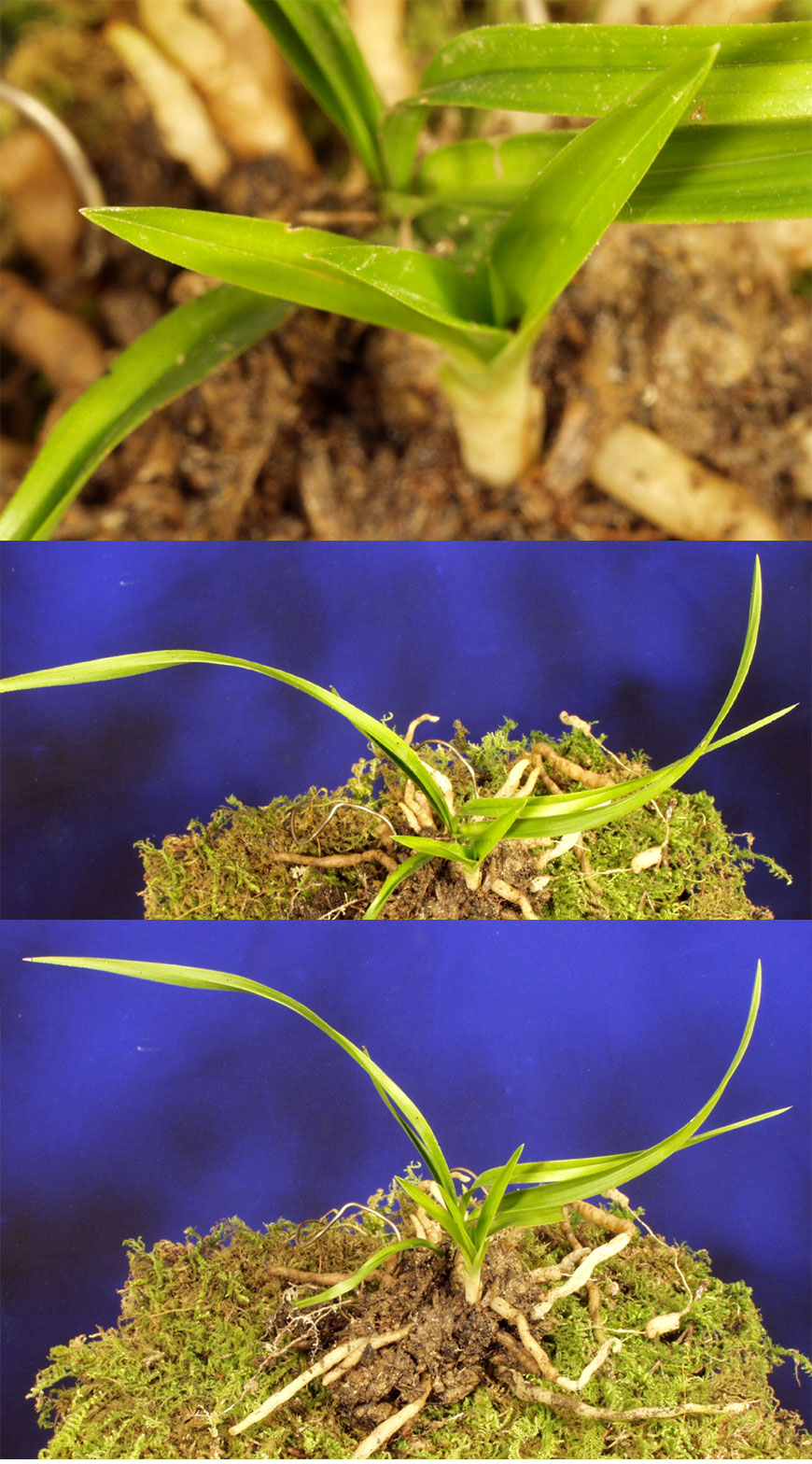 ������ ū������ �� �� �ֽ��ϴ�.