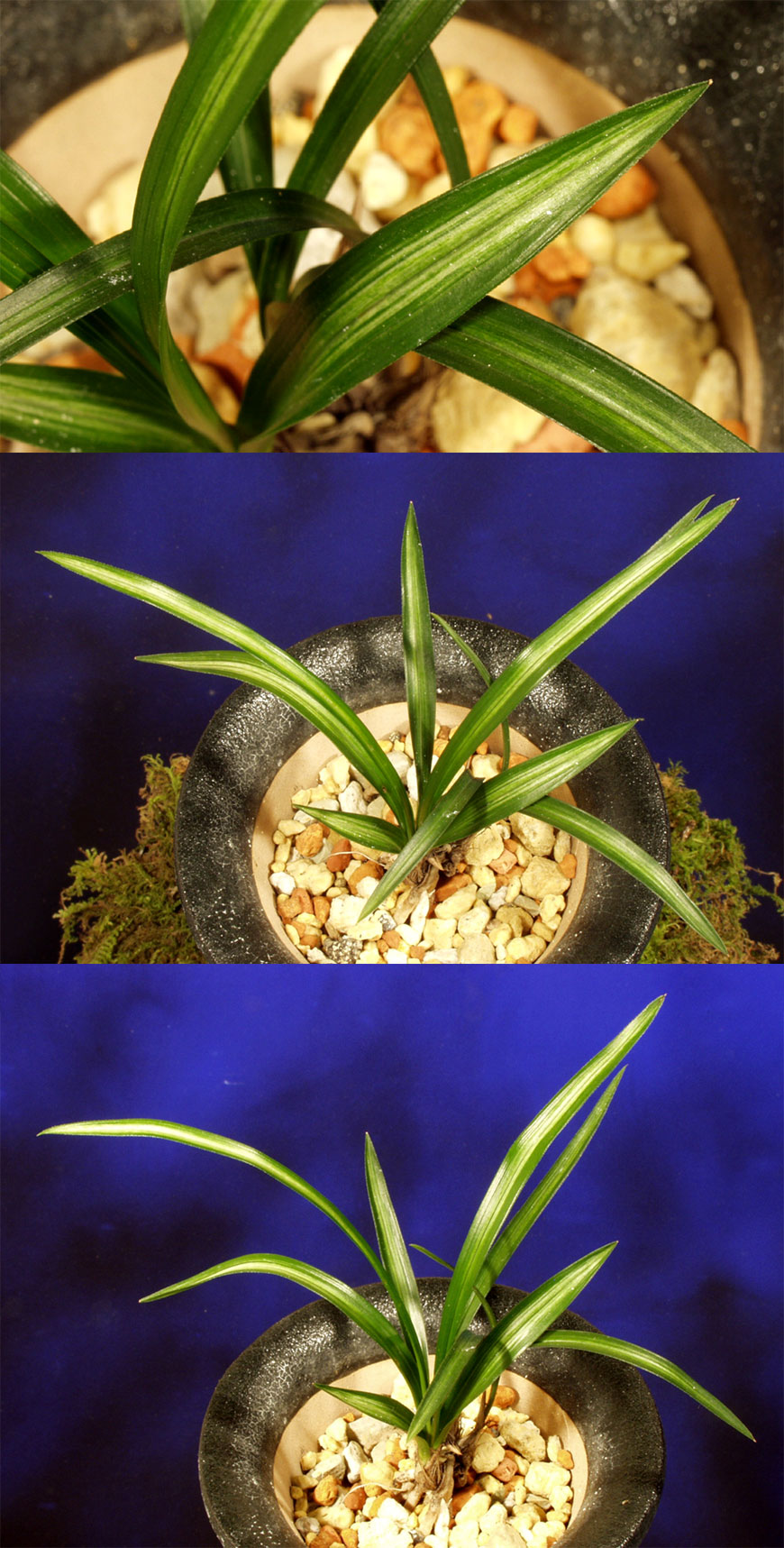 ������ ū������ �� �� �ֽ��ϴ�.