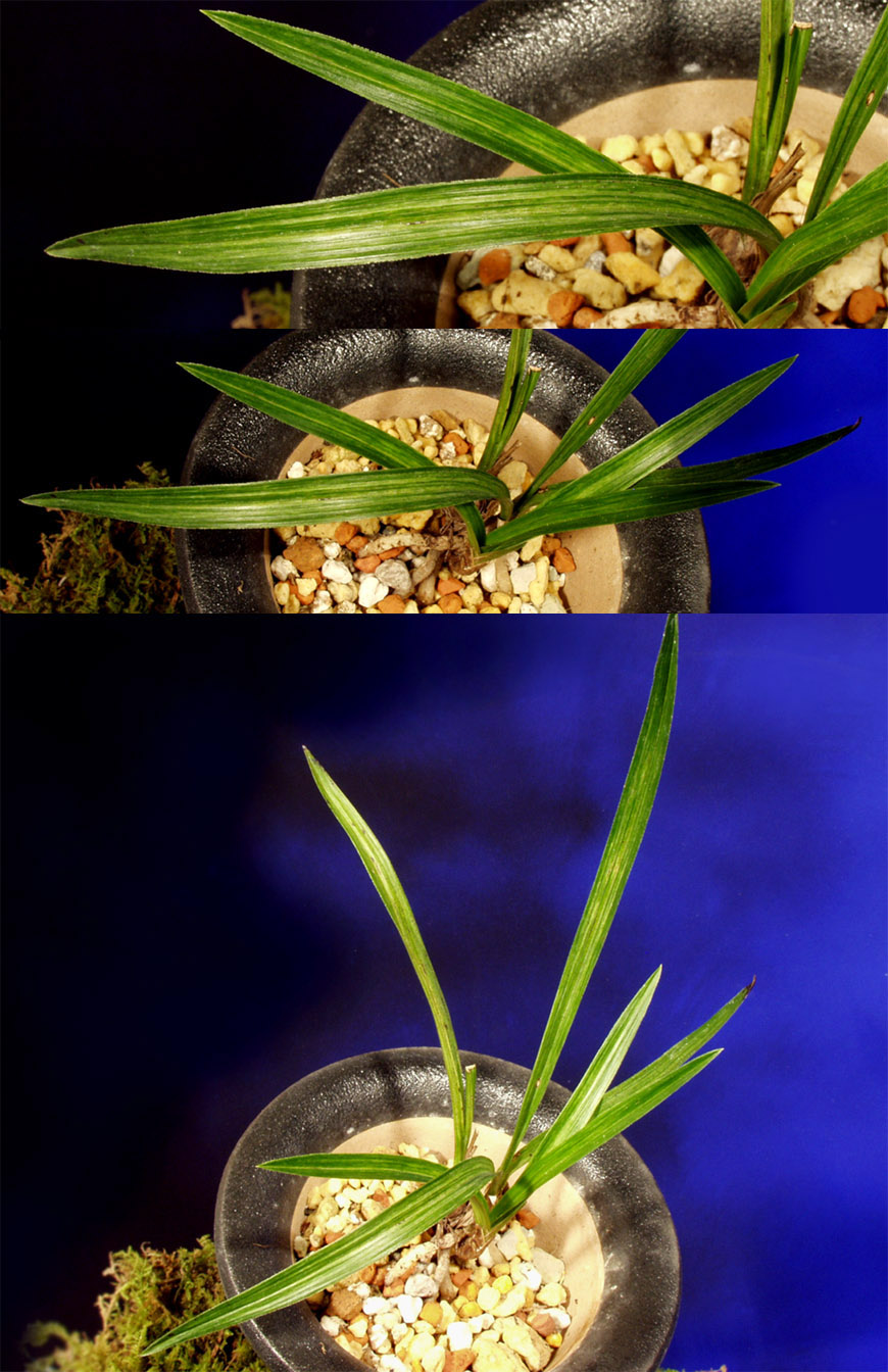 ������ ū������ �� �� �ֽ��ϴ�.