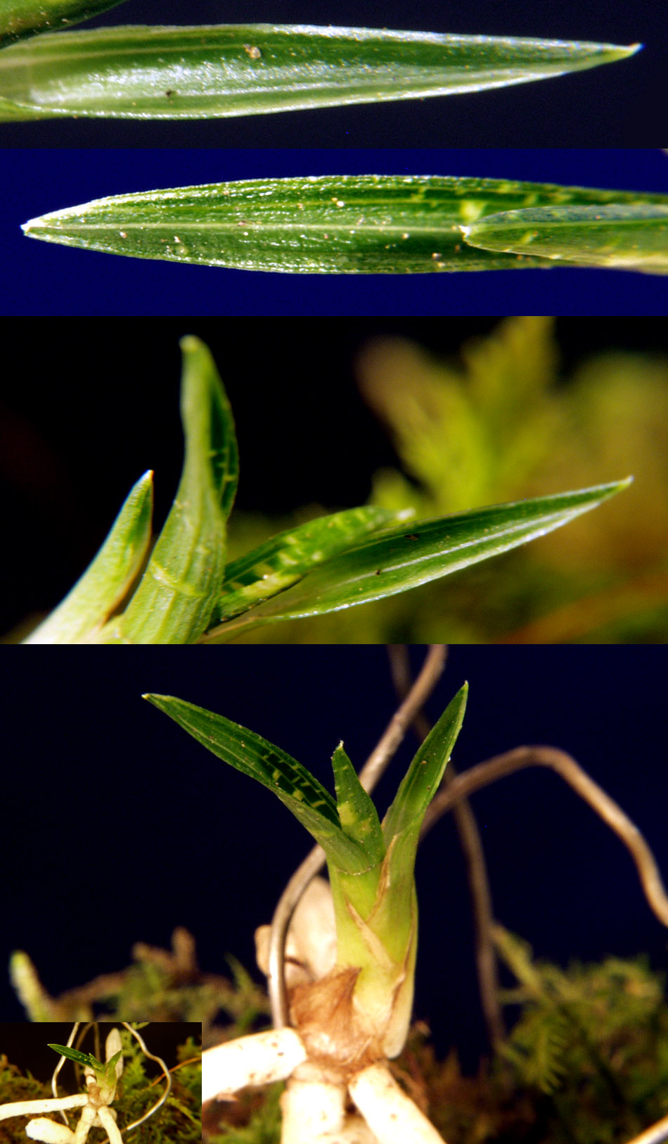 ������ ū������ �� �� �ֽ��ϴ�.